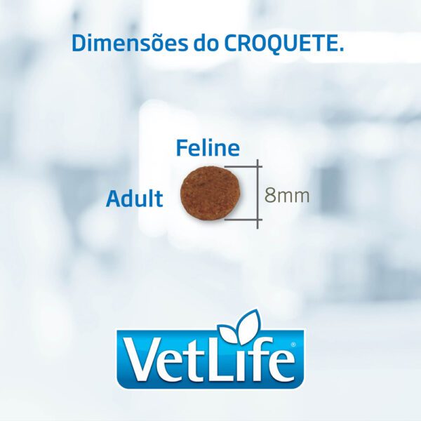 VETLIFE FELINO GASTROINTESTINAL 2KG - Imagen 2