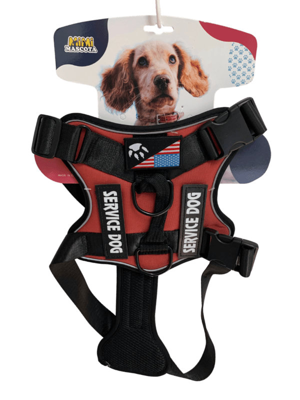 ARNES PERRO CON ASA - SERVICE DOG - TALLA L