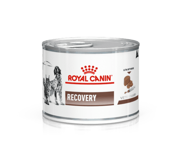 ROYAL CANIN RECOVERY CANINO Y FELINO LATA 145 GR