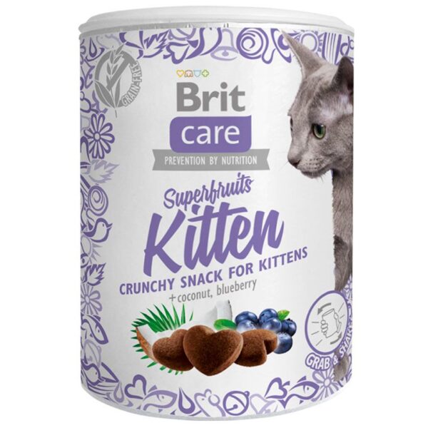 BRIT CARE SNACK SUPERFRUITS KITTEN 100 G