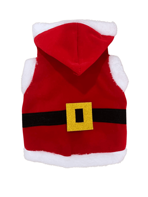 CHAQUETA VIEJTO PASCUERO TALLA 6